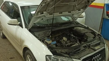 АвтоТехЦентр Устрада Авто на улице Василия Петушкова изображение 12